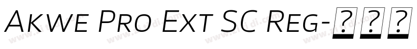 Akwe Pro Ext SC Reg字体转换